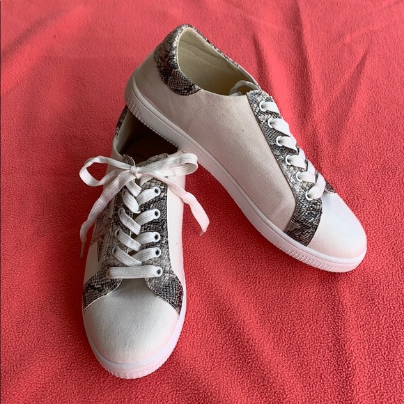 CCOCCI Shoes - CCOCCI star sneakers, snake print, Size 8.5